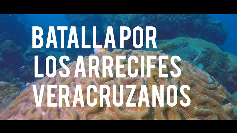 La Batalla por los Arrecifes Veracruzanos. Veracruz.